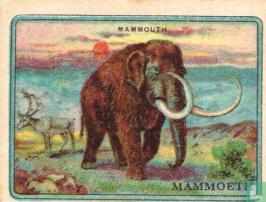 Mammoeth - Afbeelding 1