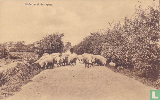Herder met schapen - Bild 1