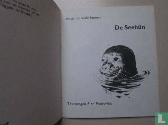 de seehun - Image 3