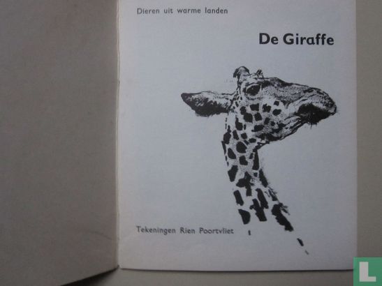 De giraffe - Afbeelding 3