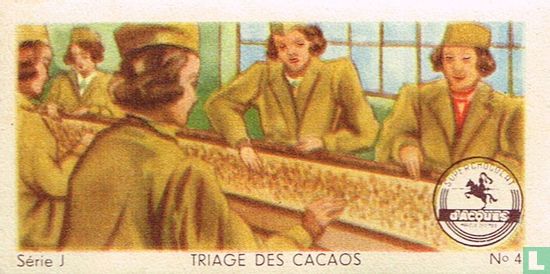 Triage des cacaos - Afbeelding 1