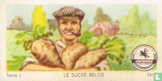 Le sucre belge - Afbeelding 1