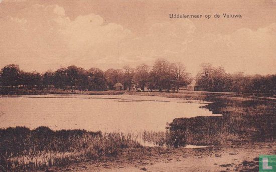 Uddelermeer op de Veluwe - Image 1