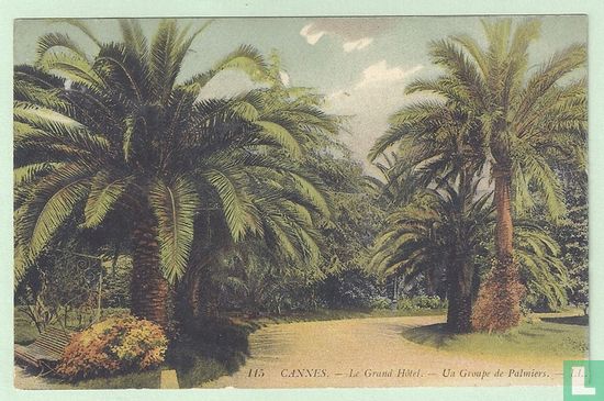 CANNES, Le Grand Hôtel - Un Groupe de Palmiers