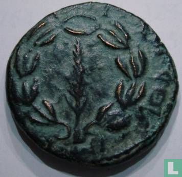 Judea, AE coin, "Shimon" Bar Kochba opstand (Harp, jaar 3) 134-135 CE - Afbeelding 2