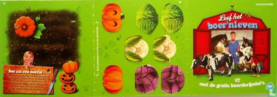 Pompoen & kool - Afbeelding 2