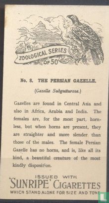 The Persian Gazelle - Afbeelding 2