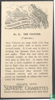 The Vulture - Afbeelding 2