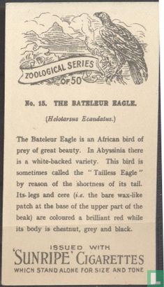The Bateleur Eagle - Afbeelding 2