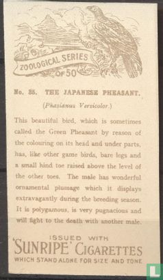 The Japanese Pheasant - Afbeelding 2