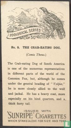 The Crab-Eating Dog - Image 2