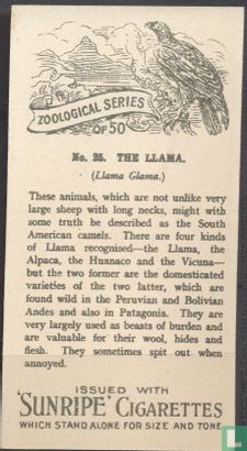 The Llama - Afbeelding 2