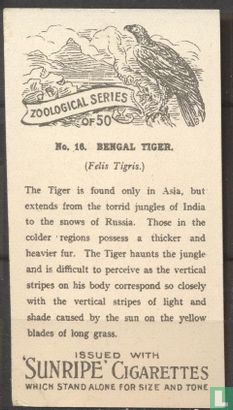 Bengal Tiger - Afbeelding 2