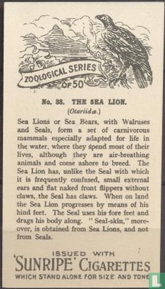 The Sea Lion - Afbeelding 2