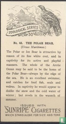 The Polar Bear - Afbeelding 2