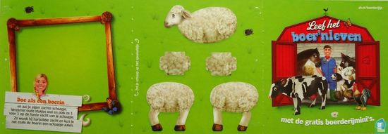 Sheep - Image 2