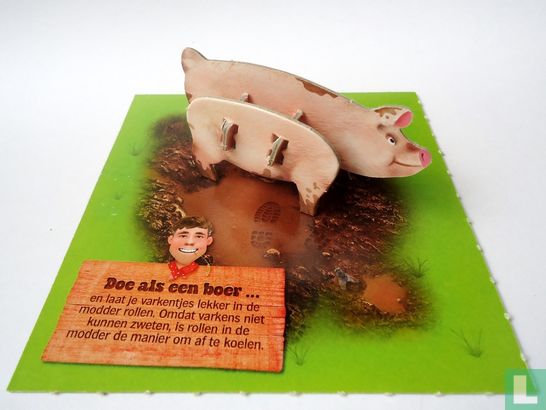 Schwein - Bild 1