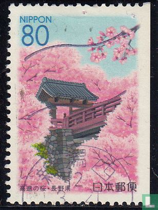 Kirschblüte auf Takato