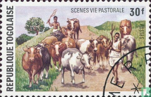 Shepherd's life