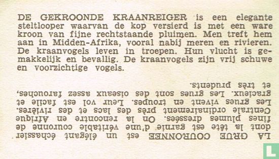 Kraanreiger - Image 2