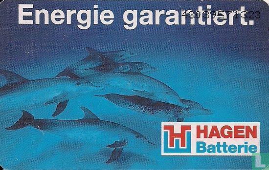 Hagen Batterie - Bild 2