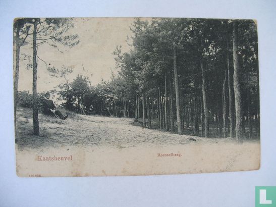 Kaatsheuvel - Roesselberg - Image 1