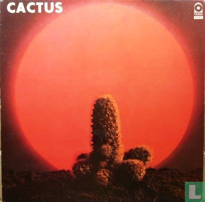 Cactus - Afbeelding 1