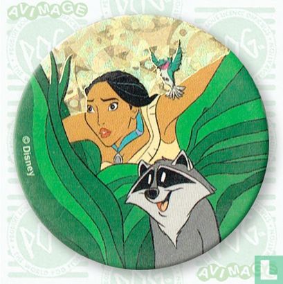 Pocahontas, voltigent et Meeko - Image 1
