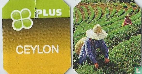 Ceylon - Afbeelding 3