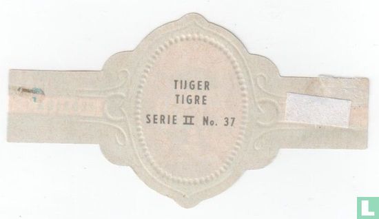 Tijger - Image 2