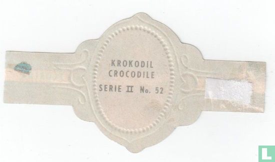 Krokodil - Image 2