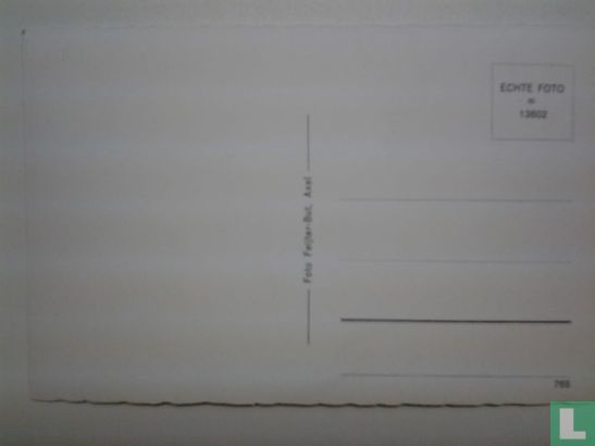 Axel , Zwembad. - Afbeelding 3