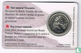 Canada 25 cents 2000 (coincard) "Natural Legacy" - Afbeelding 2