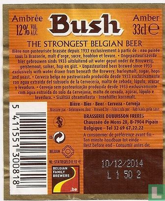 Bush Ambrée Amber - Image 2
