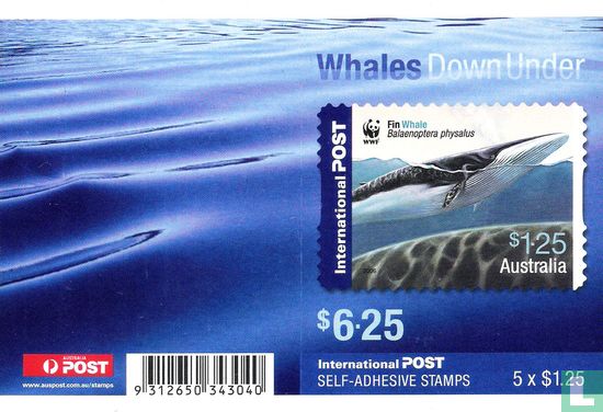 Whales - Image 1