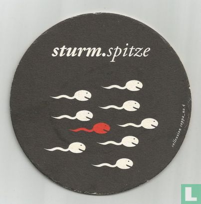 Sturm.spitze - Afbeelding 1
