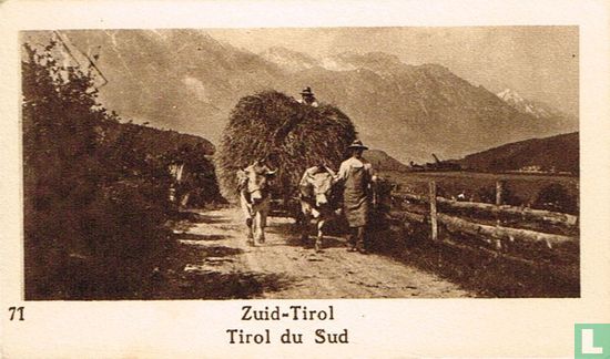 Zuid-Tirol - Bild 1