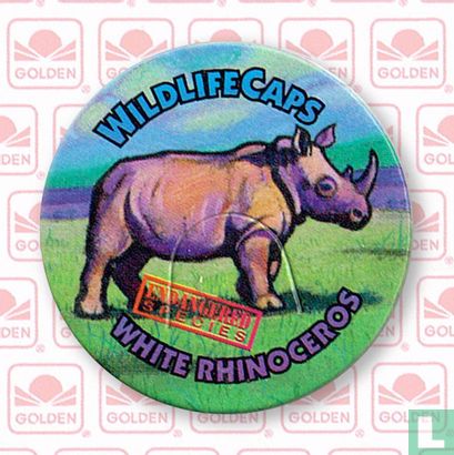 White Rhinoceros - Image 1