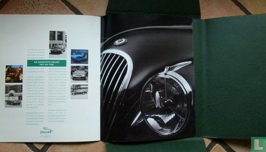 Jaguar - Image 3
