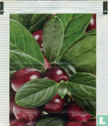 Lingonberry - Image 2