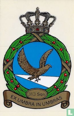313 Squadron