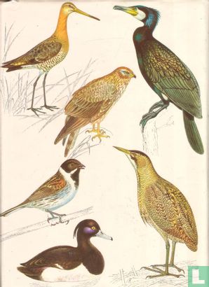 Het grote vogelboek in kleur - Afbeelding 2
