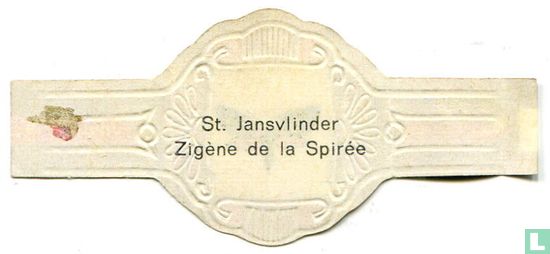 St. Jansvlinder - Afbeelding 2
