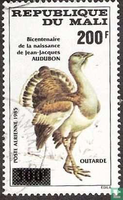 Audubon Birds