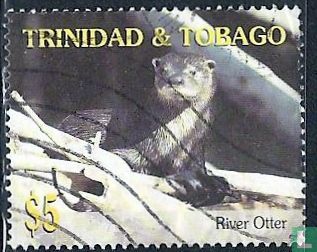 River otter