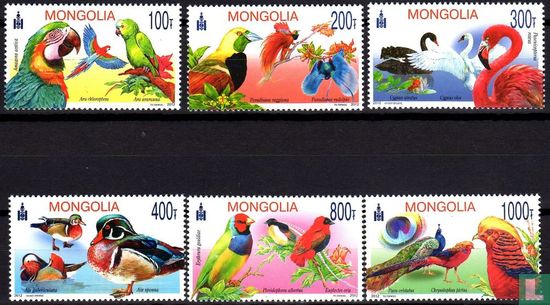 Birds 
