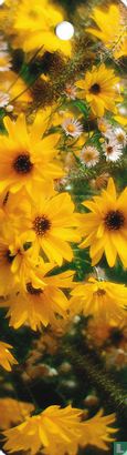 Gele bloemen - Afbeelding 1