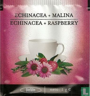 Echinacea + Malina - Bild 1