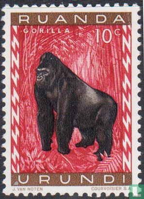 Gorilla - Afbeelding 2
