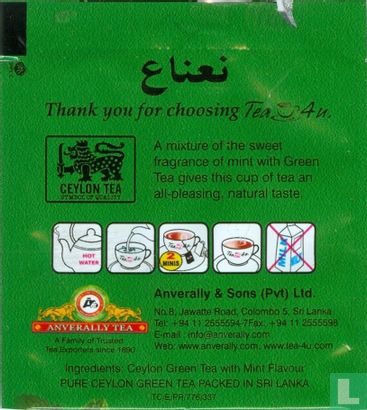 Mint Green Tea - Afbeelding 2